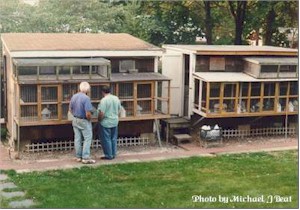 Ed's loft is made up of two lofts.  The main one on the left was constructed with the help of Bob Kenedy in 1974.  In this loft the Left section is the flying section.  The breeding section is in the right.   Young birds are flown from the center section.  