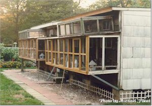 The right loft was added later which belonged to the late Don Zink (another well-known Tipplerman of Long Island). In this loft, Ed breeds Bronzes in 3 sections on the right.  The Center is again used for settling young birds and then after they have settled Ed moves them to the left.  