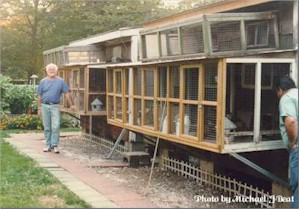 As you know, Ed has been with Tipplers for some time now.  As is shown here, Ed's loft has withstood the test of time for many years.  The loft has been basic design that has lasted for a long time.  Keeping tipplers does not take a supper fancy nor complicated loft but one that is well ventilated and comfortable for both birds and owner. (John Pezzuli of Manhattan is viewing the loft from the side.)