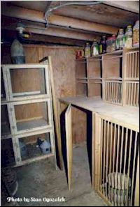 Here is another view of kit box area.  Notice the additional boxes on the left.  These can be used for very young birds being weaned.  The bottles contain Stan's small seeds used in the "feed-up" prior to competition day.