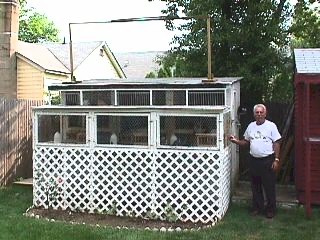 Joe Russo in front of his flying loft. He flys mainly Lovatts but has a bit of Sheffield, & Shannon blood.